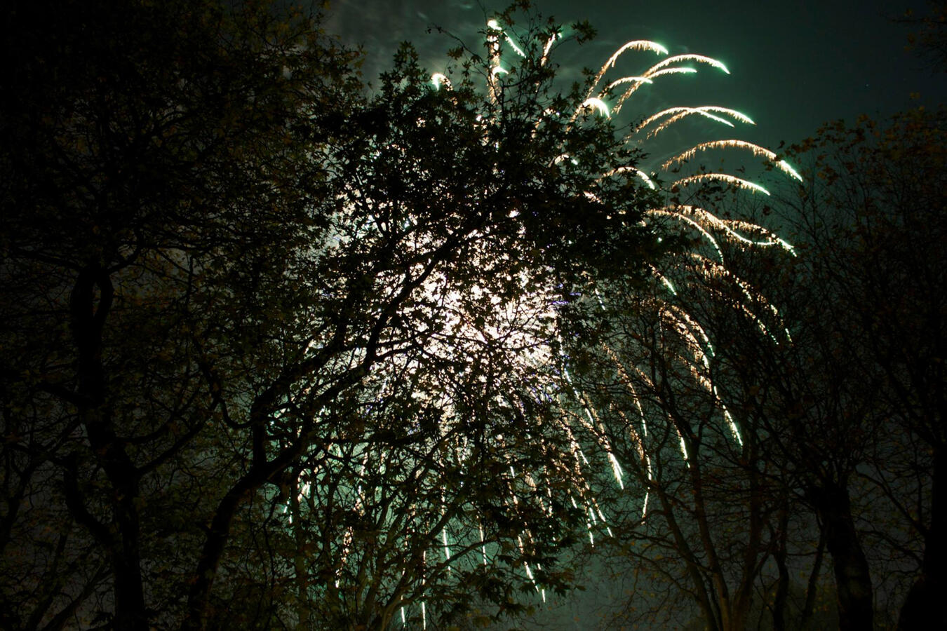 11/Fireworks